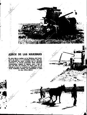 ABC SEVILLA 15-09-1966 página 17