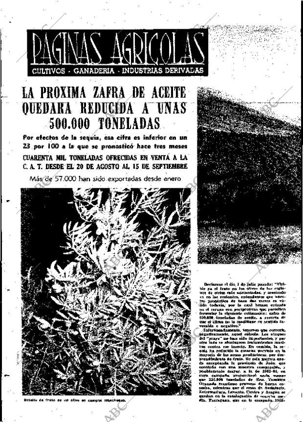ABC MADRID 23-09-1966 página 16