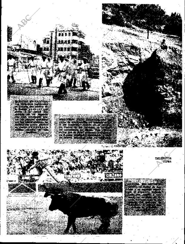 ABC SEVILLA 25-09-1966 página 43