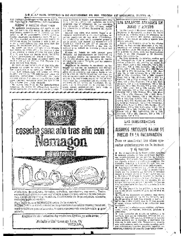 ABC SEVILLA 25-09-1966 página 61