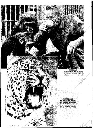ABC MADRID 02-10-1966 página 37