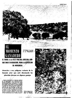 ABC MADRID 21-10-1966 página 57