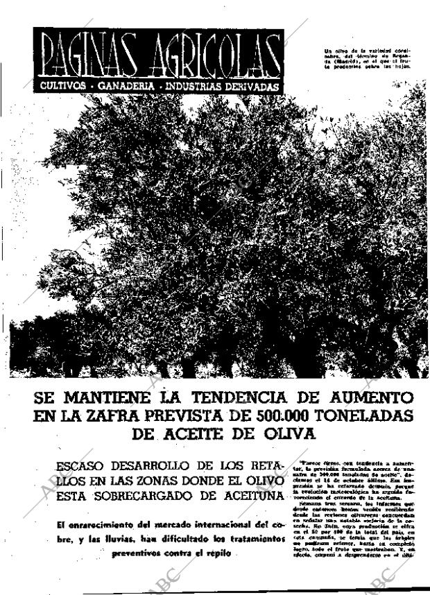 ABC MADRID 04-11-1966 página 28