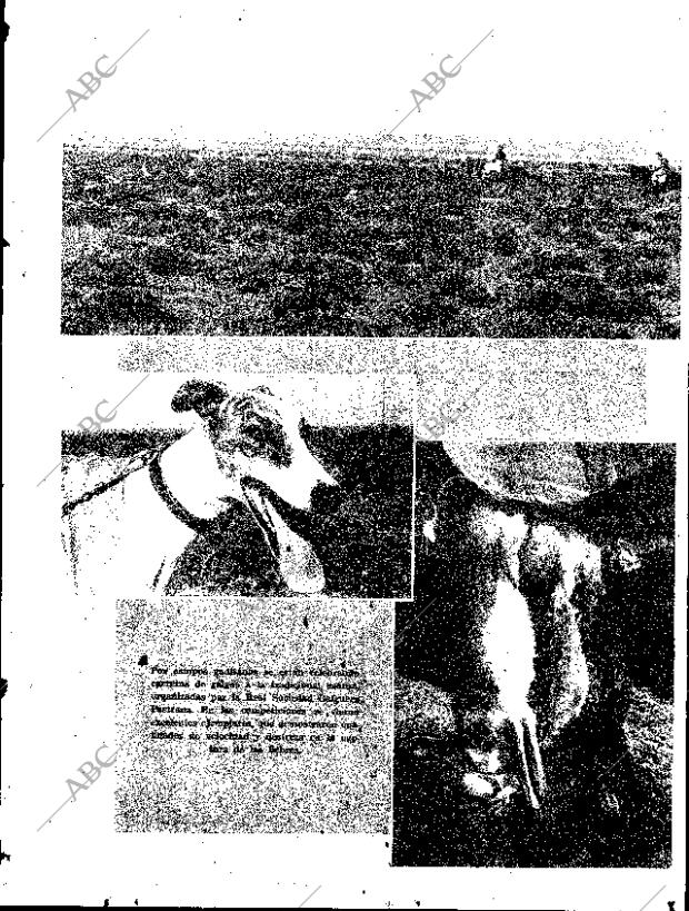 ABC SEVILLA 17-11-1966 página 21