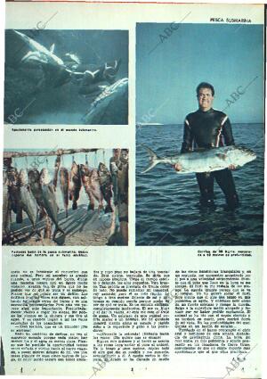 ABC MADRID 27-11-1966 página 13