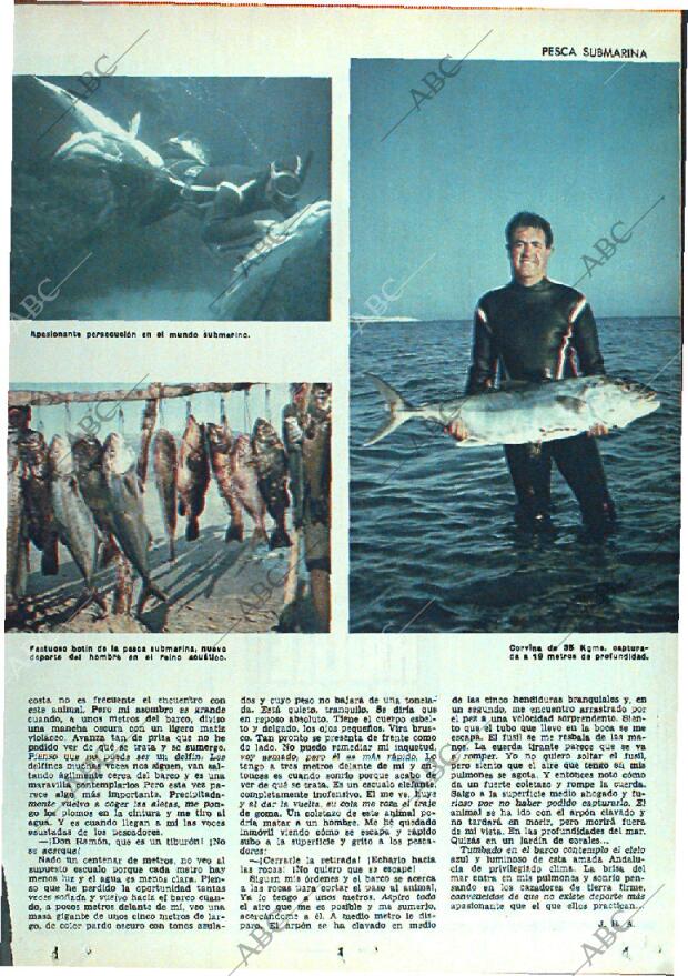 ABC MADRID 27-11-1966 página 13