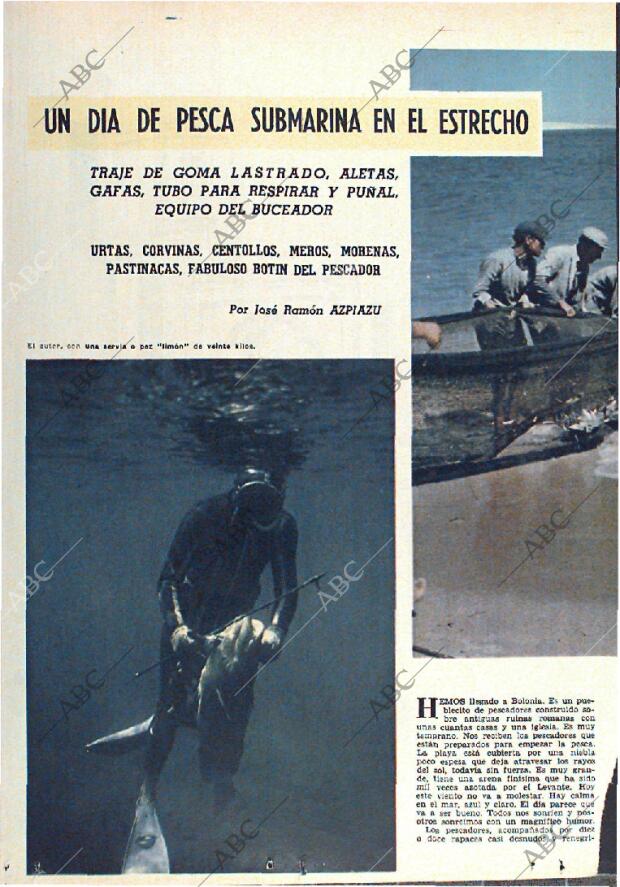 ABC MADRID 27-11-1966 página 8