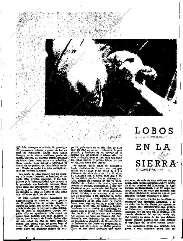 ABC SEVILLA 29-11-1966 página 21