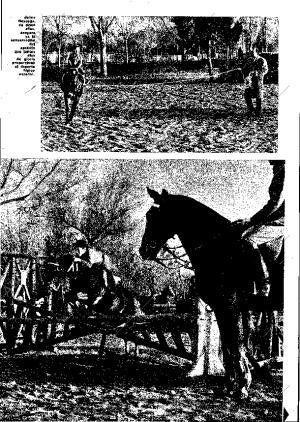ABC MADRID 03-12-1966 página 29