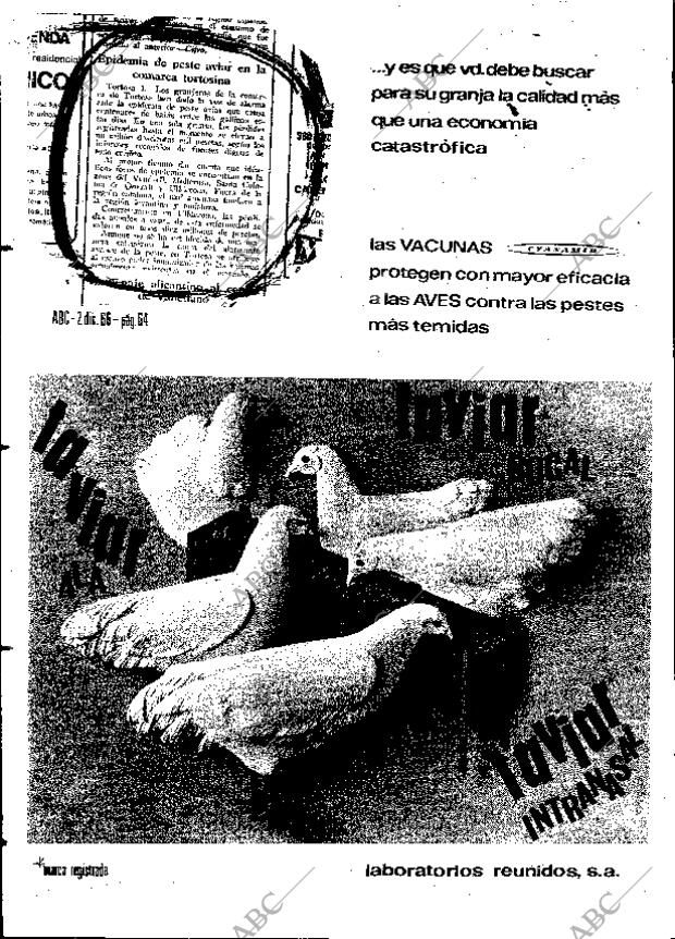 ABC MADRID 11-12-1966 página 34