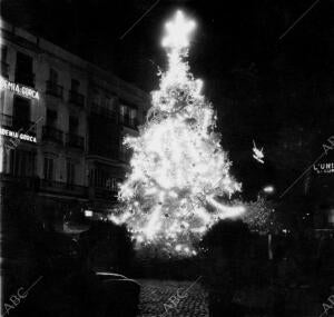 El abeto colocado en la Plaza de la Falange Espalola ha dado este año un...