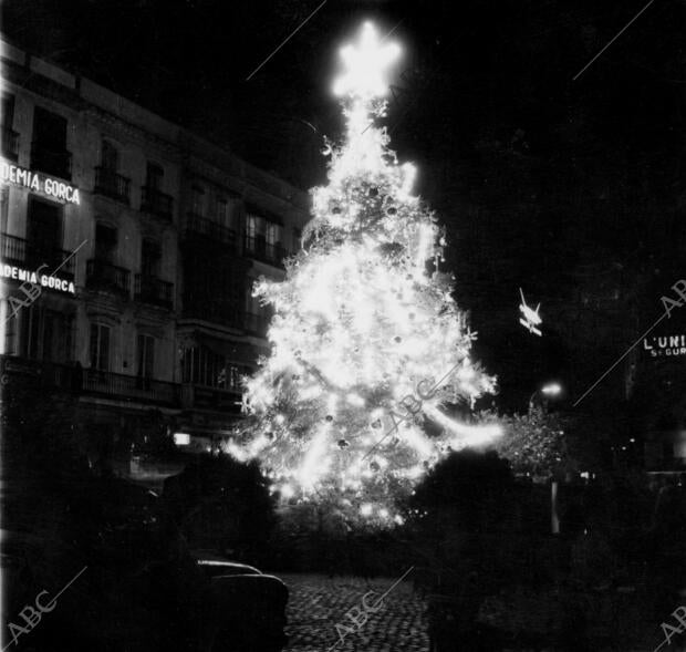 El abeto colocado en la Plaza de la Falange Espalola ha dado este año un...