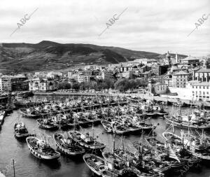 Vista del puerto pesquero de Bermeo (Vizcaya)