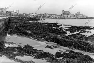 Vista de la playa bajamar del pueblo Castro Urdiales (Cantabria)