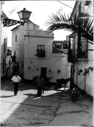 Una calle de Marbella (Málaga). Al fondo Animales de Carga