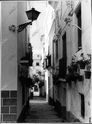 Una calle de Marbella (Málaga)