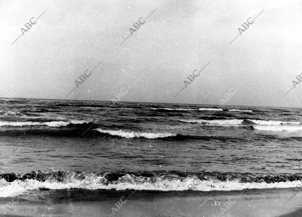 Playa de las Chapas de Marbella en Málaga