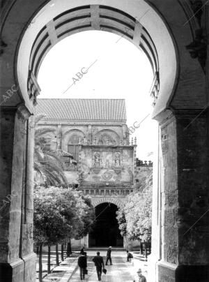 Mezquita de Córdoba. Patio de los Naranjos