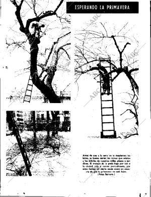 ABC SEVILLA 21-02-1967 página 11