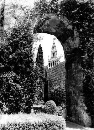 La giralda desde el alcázar