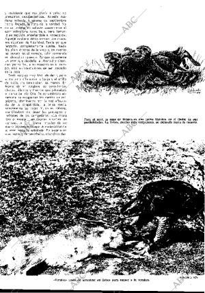 BLANCO Y NEGRO MADRID 15-04-1967 página 21