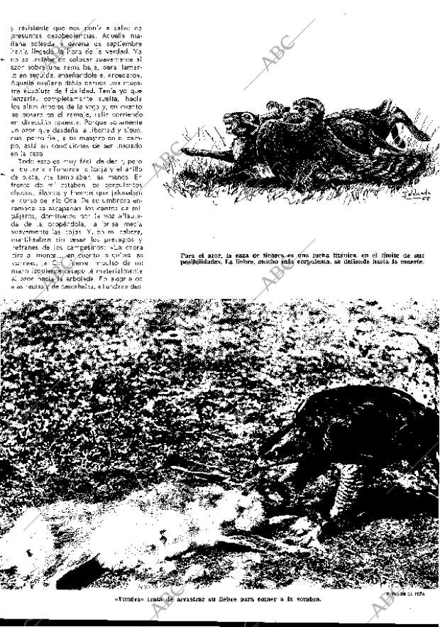 BLANCO Y NEGRO MADRID 15-04-1967 página 21