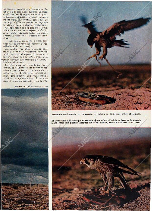 BLANCO Y NEGRO MADRID 15-04-1967 página 25