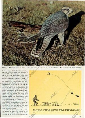 BLANCO Y NEGRO MADRID 15-04-1967 página 27