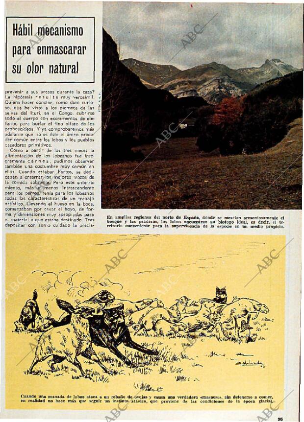 BLANCO Y NEGRO MADRID 29-04-1967 página 95