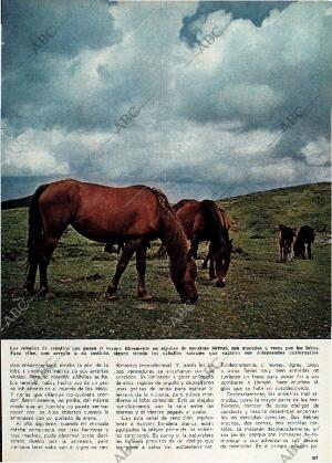 BLANCO Y NEGRO MADRID 29-04-1967 página 97