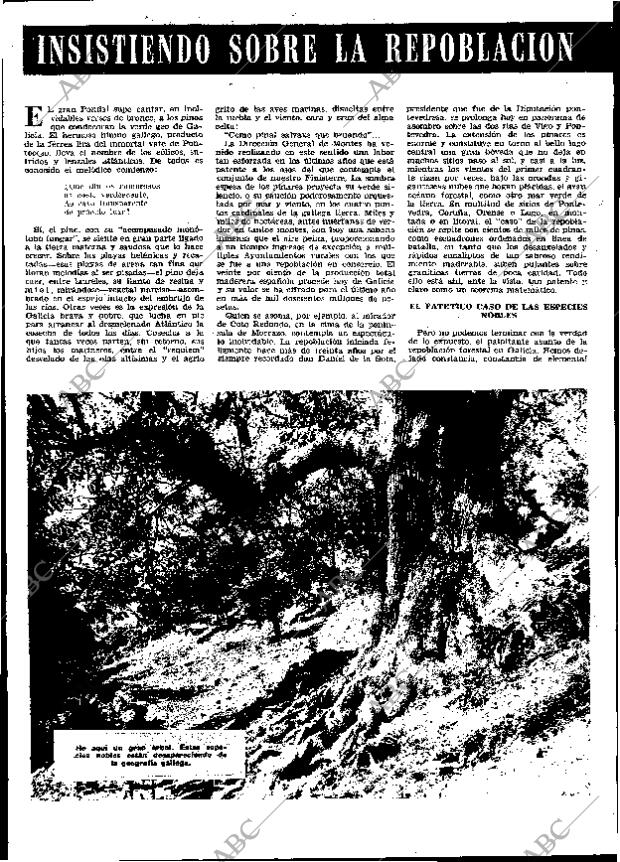 ABC MADRID 28-06-1967 página 40