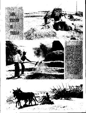 ABC SEVILLA 08-07-1967 página 17