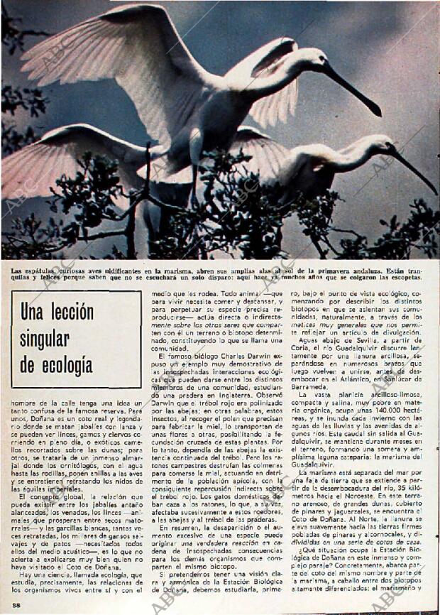 BLANCO Y NEGRO MADRID 08-07-1967 página 88