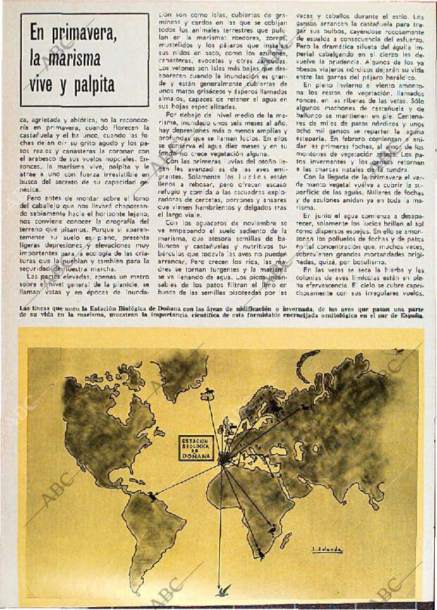 BLANCO Y NEGRO MADRID 08-07-1967 página 94