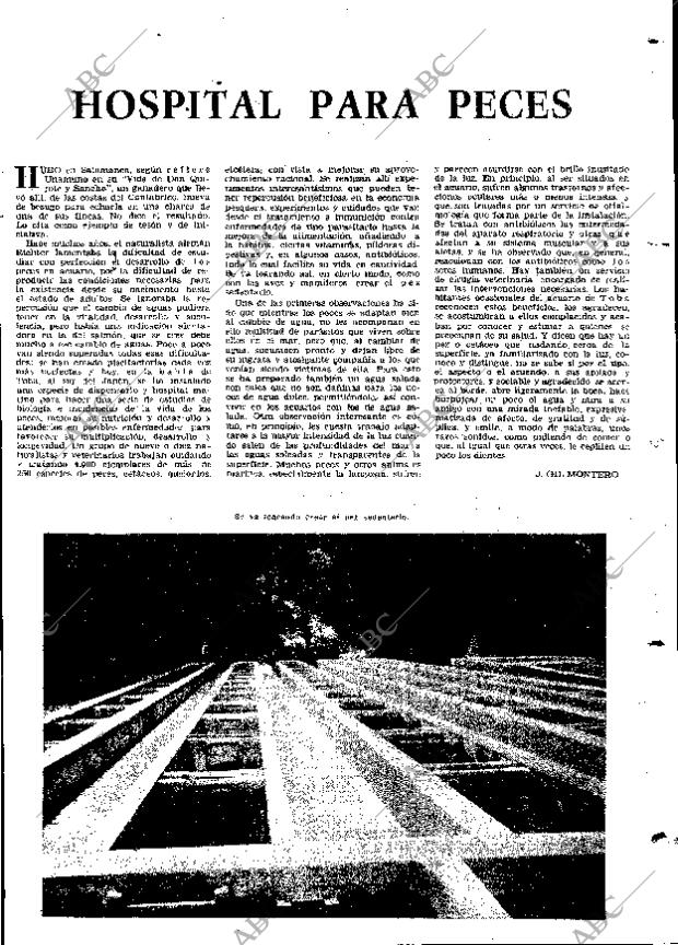 ABC MADRID 27-07-1967 página 11