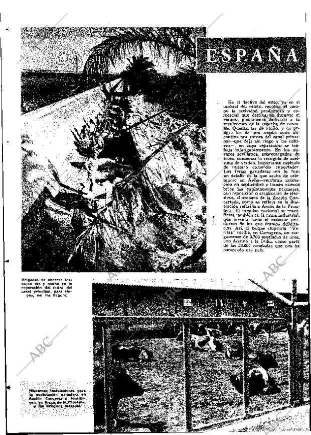 ABC MADRID 17-09-1967 página 26