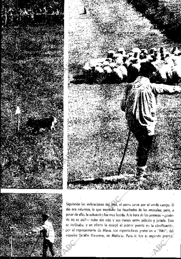 BLANCO Y NEGRO MADRID 07-10-1967 página 75
