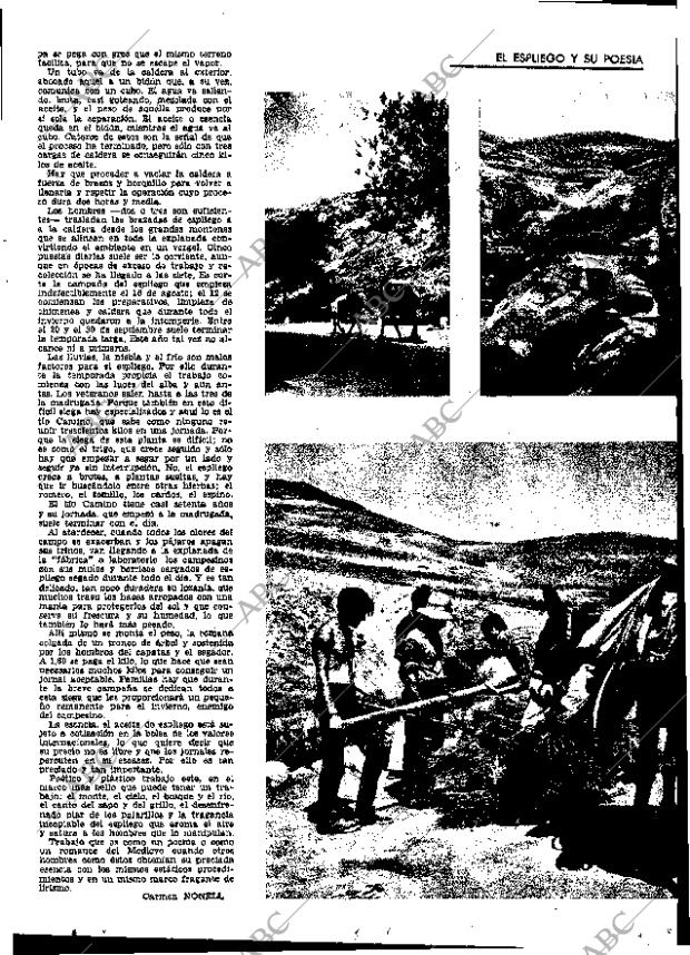 ABC MADRID 18-11-1967 página 11