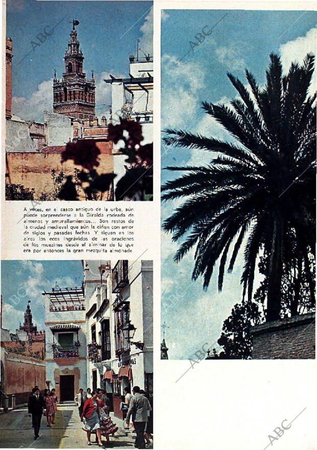 BLANCO Y NEGRO MADRID 18-11-1967 página 61