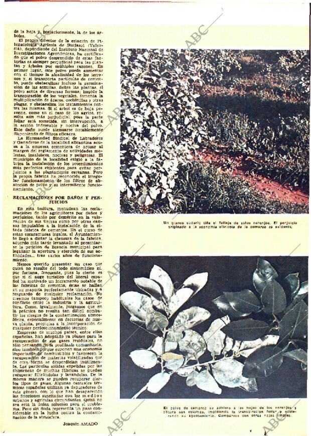 ABC MADRID 25-11-1967 página 24
