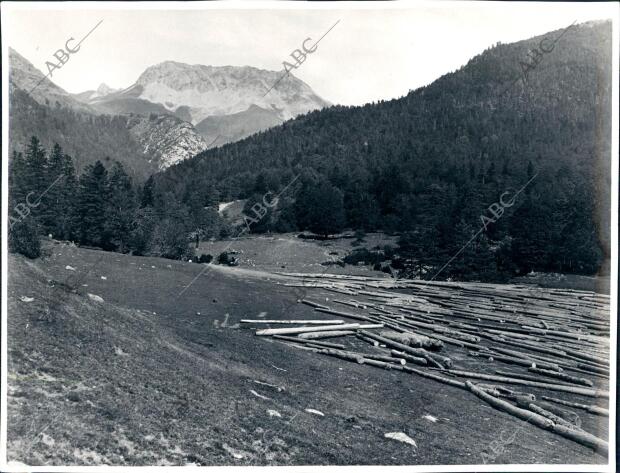 Aragón Subordan. Paisaje de la selva de Oza