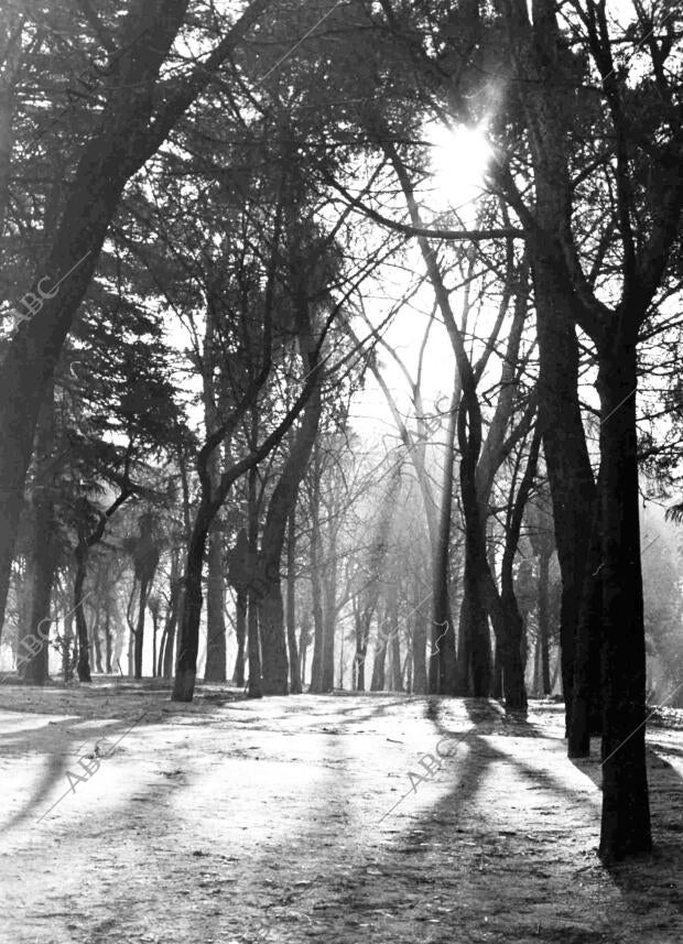 Retiro, sol de Invierno - fecha Aproximada