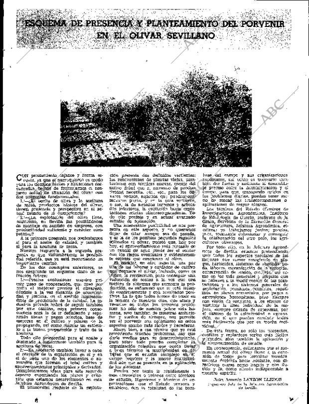 ABC SEVILLA 19-01-1968 página 15