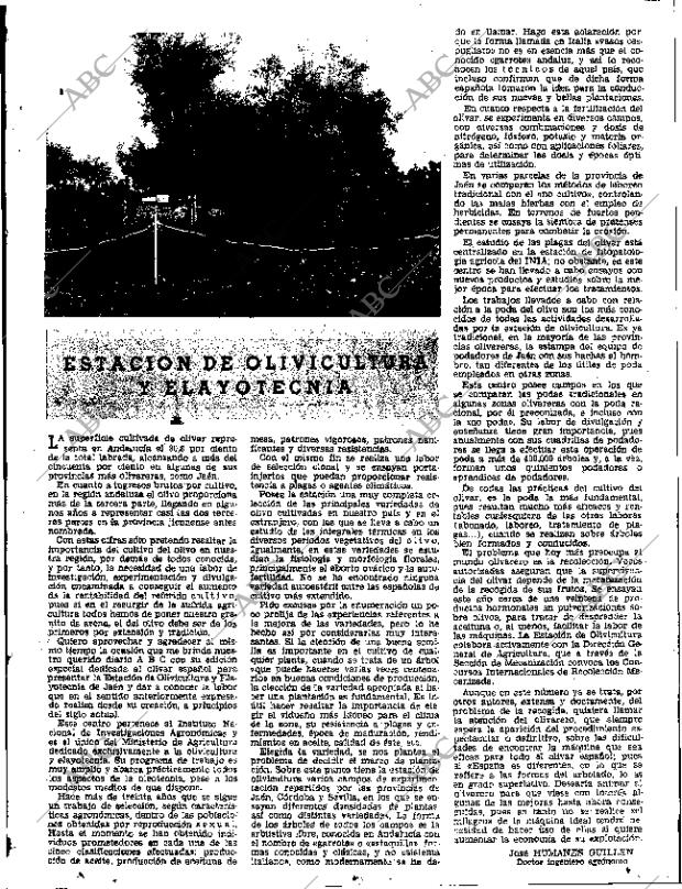 ABC SEVILLA 19-01-1968 página 33
