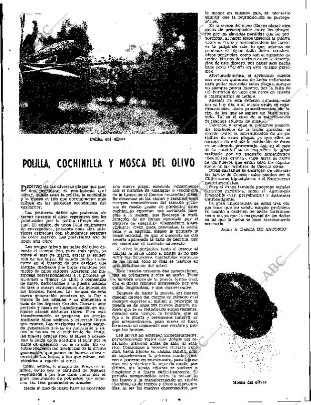 ABC SEVILLA 19-01-1968 página 35