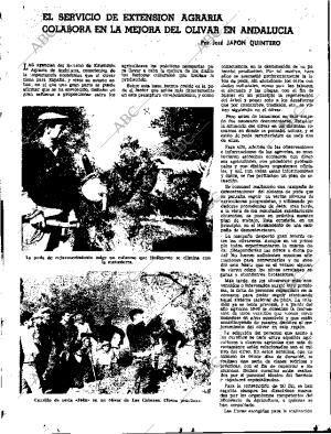 ABC SEVILLA 19-01-1968 página 49