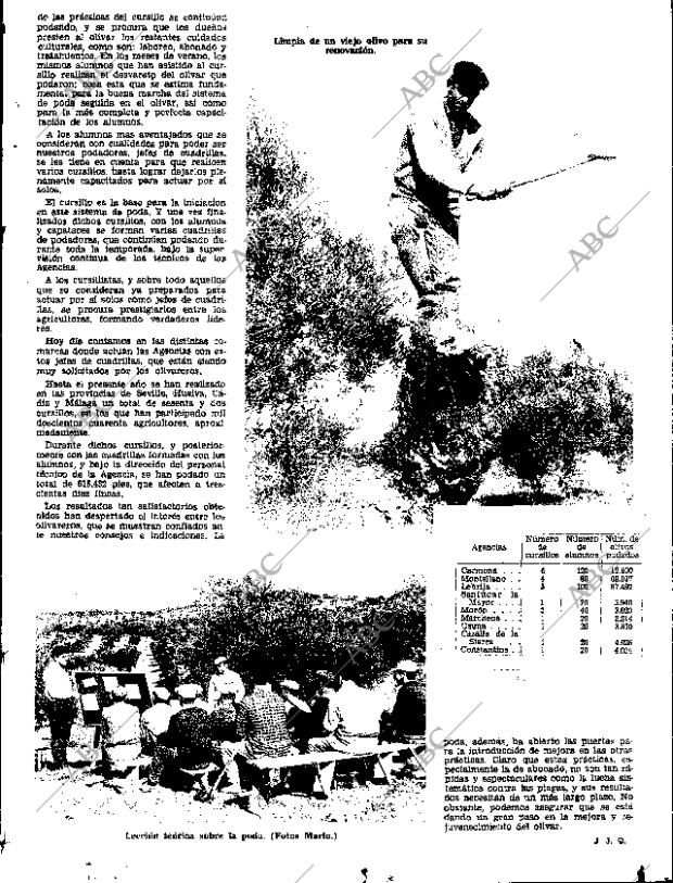 ABC SEVILLA 19-01-1968 página 51