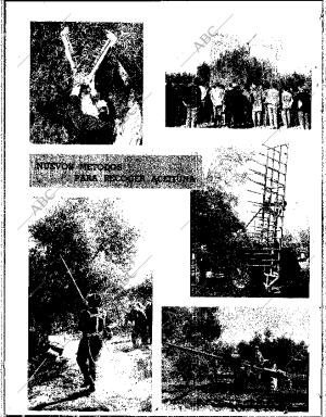 ABC SEVILLA 25-01-1968 página 6