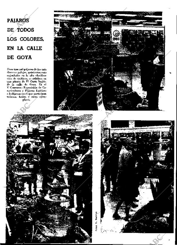 ABC MADRID 18-02-1968 página 19