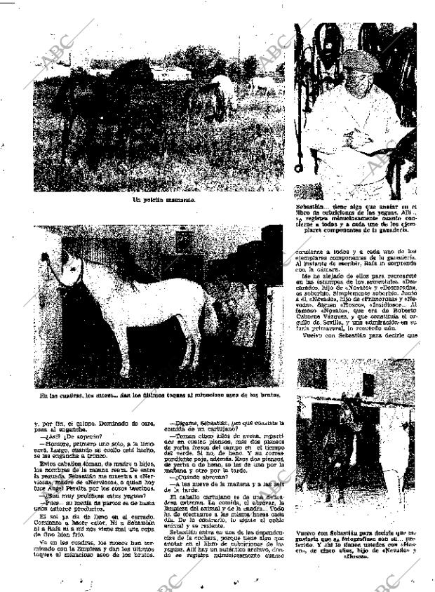 ABC SEVILLA 10-05-1968 página 17